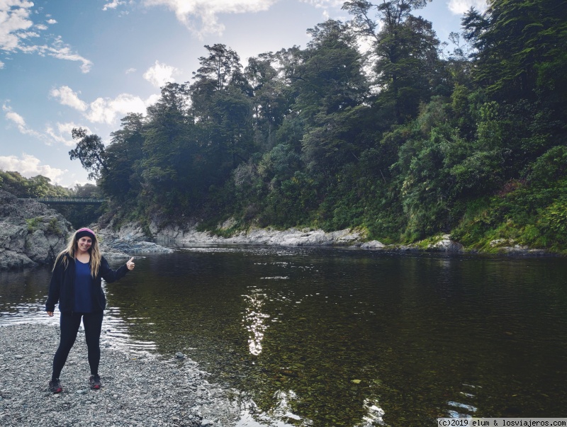 DIA 14 - De Abel Tasman hasta Blenheim - NUEVA ZELANDA - Paraiso Natural (4)