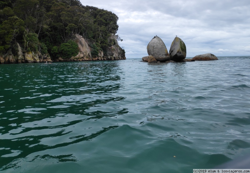 DIA 13 - Abel Tasman Track - NUEVA ZELANDA - Paraiso Natural (2)