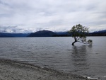 DIA 8 - Mildford sound y Wanaka