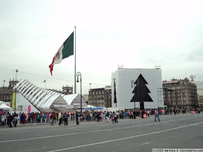 Forum of Navidad: El árbol de Navidad en Ciudad de México