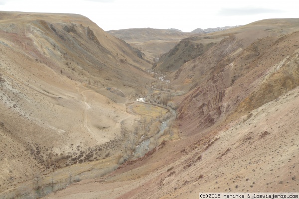Un viaje corto a Altai - Blogs de Rusia - Día 3: El Marte y otros alrededores del campamiento (3)