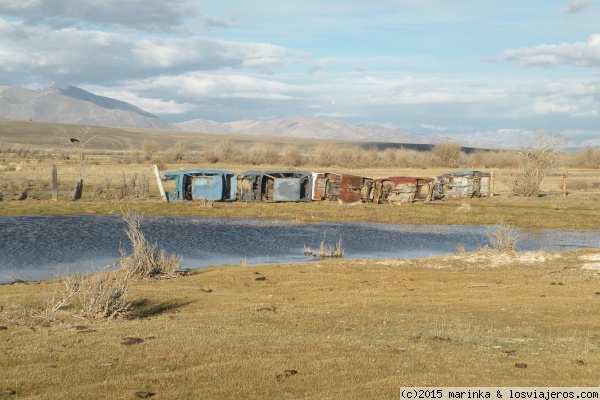 La cerca de coches viejos en Altai
La cerca de coches viejos en Altai
