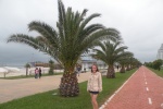 El malecón en Batumi
Batumi, malecón, palmeras