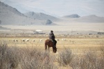 Un pastor en Altai
Altai, pastor