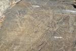 Los petroglifos en Altai
