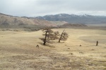 Un paisaje severo en Altai
Altai, paisaje, severo