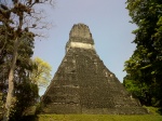 Tikal  ciudad de la cultura Maya
Ti kal