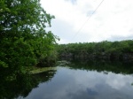 Península de Yucatán
Yucatan selva rio