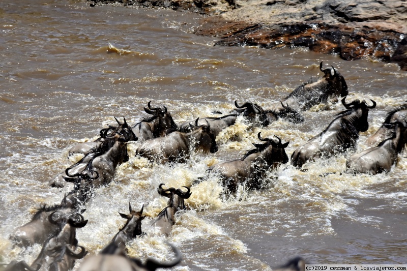 Kenia, no solo safari - Blogs de Kenia - dia 5 Masai Mara (3)