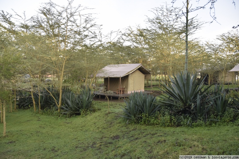 Kenia, no solo safari - Blogs de Kenia - dia 1 - Nakuru nos espera (6)