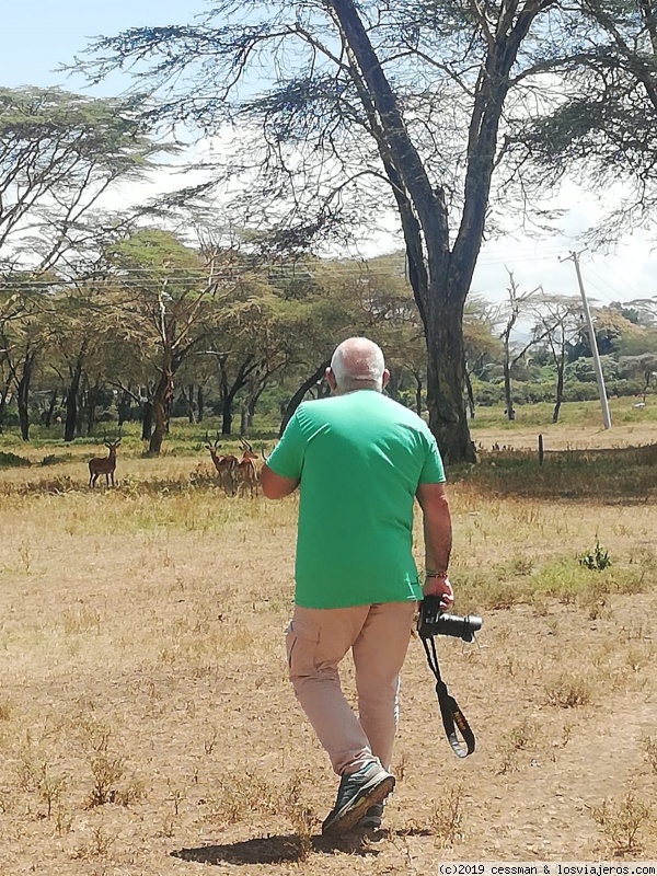 Kenia, no solo safari - Blogs de Kenia - dia 7 naivasha lake (6)