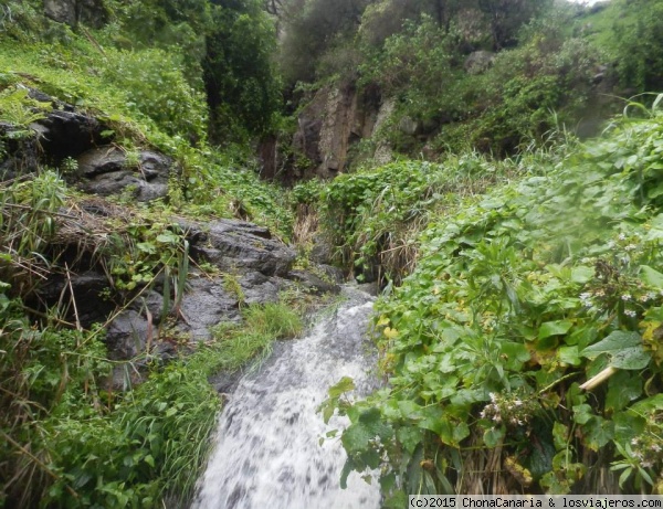 Barranco de los Cernícalos
Barranco de los Cernícalos, Gran Canaria

http://caminosdecanarias.blogspot.com.es/2013/05/camino-del-barranco-de-los-cernicalos.html
