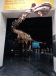 Museo de historia natural 3
Museo, Delante, historia, natural, dinosaurio