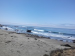 Piedras blancas y los leones marinos