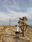 Con un joshua tree