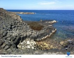 Naturaleza magica - Phu...