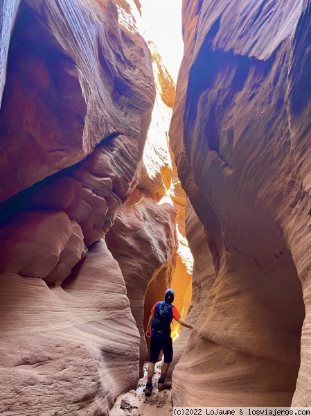 Buckskin Gulch canyon
Buckskin Gulch canyon
