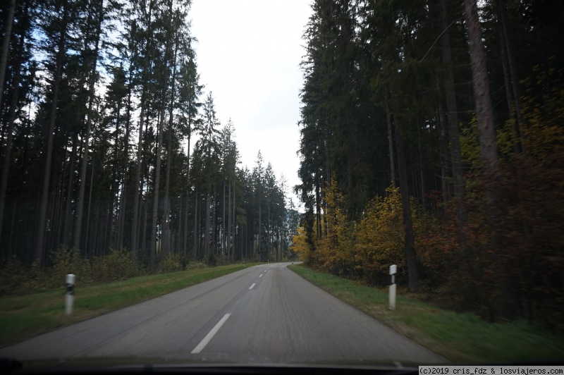 Selva Negra & Alsacia- 4 dias - Blogs de Alemania - DATOS DE INTERÉS (2)