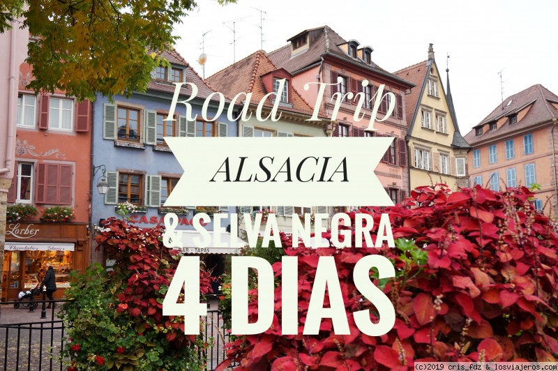 Selva Negra & Alsacia- 4 dias - Blogs de Alemania - introduccion (1)