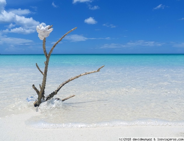 Pedernales y Bahía de Las Águilas - 15 días en República Dominicana (6)