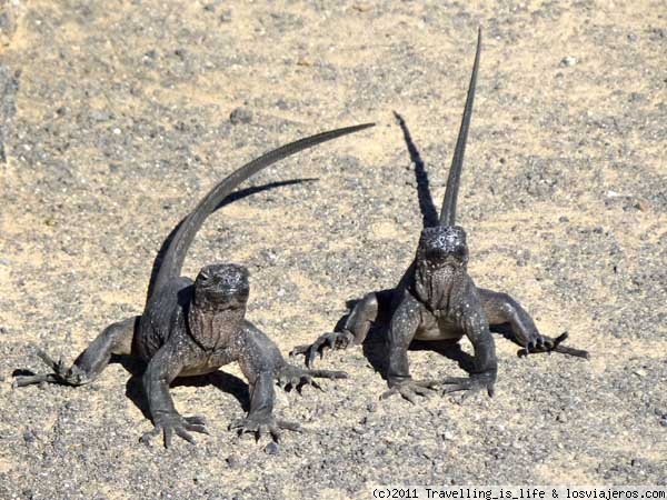 ECUADOR y GALAPAGOS, 23 días en septiembre