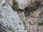 El Caminito del Rey - El sendero más peligroso. Ahora a tu alcance.
caminito de rey,entradas,experiencias malaga,ardales,agencia viajes caminito del rey