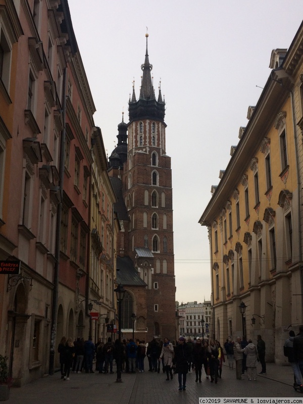 Día 3: Cracovia -> Free tours - Conociendo Polonia: Varsovia y Cracovia (2)