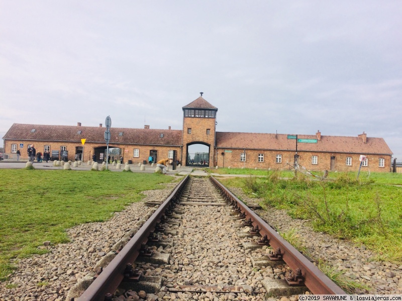 Día 4: Auschwitz y Minas de Sal de Wieliczka - Conociendo Polonia: Varsovia y Cracovia (2)