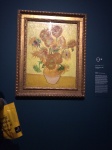 Los Girasoles
Girasoles, Museo, Gogh