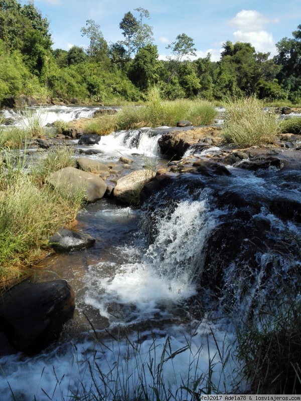 LAOS 15 dias por libre 2017 - Blogs de Laos - 6ª Etapa: Bolaven Plateau- Phaxuam Cliff (4)