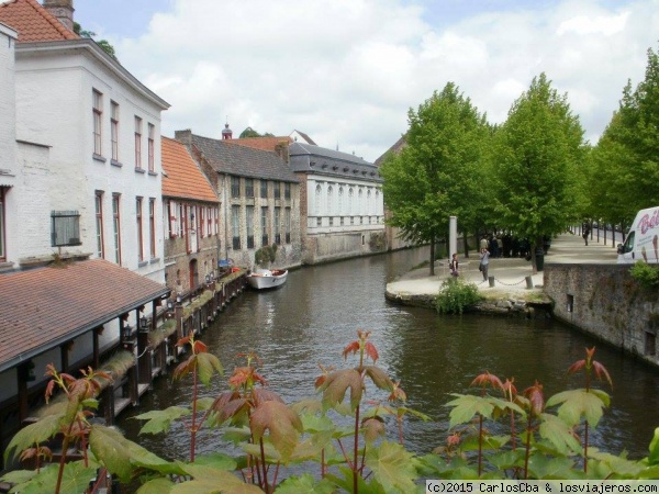 Canal en Brujas
La encantadora Brujas, en Bélgica, tiene numerosos canales donde se pueden realizar paseos en barcos y recorrer la ciudad que parece sacada de un libro de cuentos.
