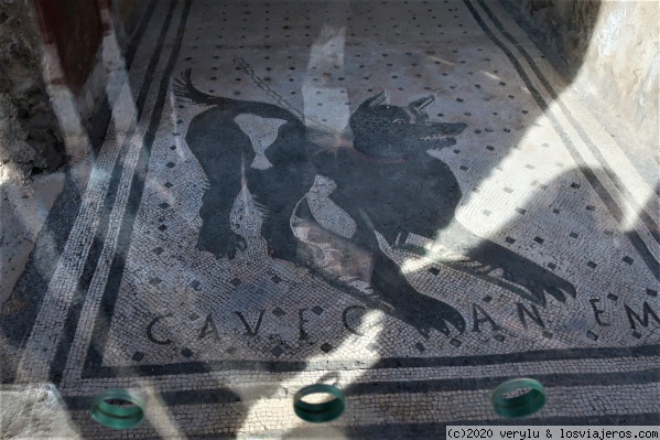 Cave Canem- Pompeya
Cave Canem (Cuidado con el perro). Mosaico ubicado en el vestibulo de la casa del poeta trágico, Pompeya.
