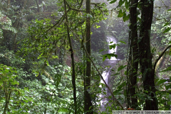 MONTEVERDE BOSQUE NUBOSO - COSTA RICA: QUE VER, DONDE IR - Forum Central America and Mexico