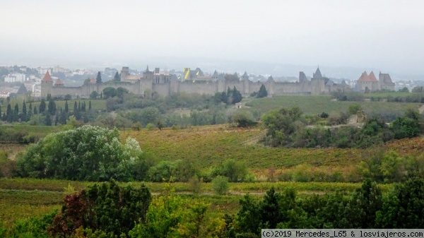 Cite de Carcassonne
Vista panorámica de la Cite con las viñas en primer plano
