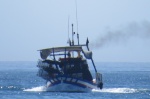 marinero de agua dulce
malaga