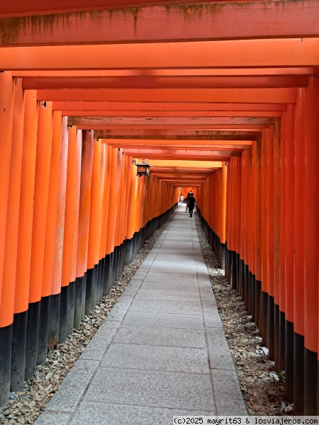 Fushimi Inari
Bosque de toriis en Fushimi Inari

