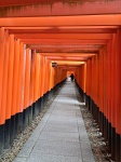 Fushimi Inari