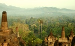 Borobudur jungla