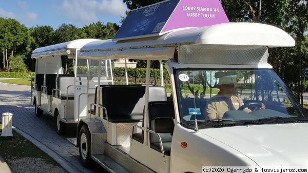 Trenecitos complejo Bahia Principe
Los taxis del hotel
