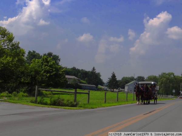Carro Amish
Carro Amish
