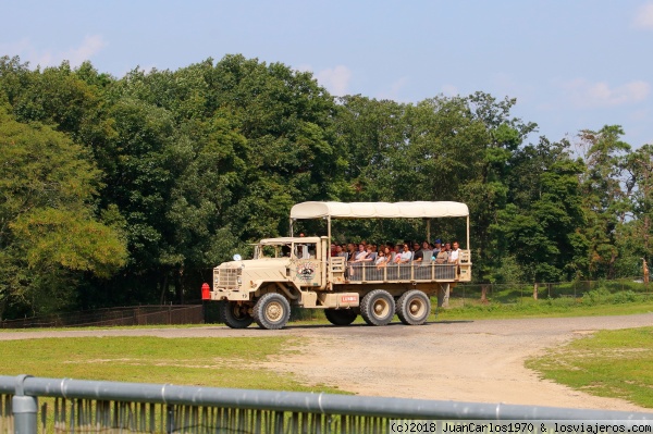 Camión safari Six Flags
Camión safari Six Flags
