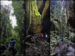 Paredes verticales Pandora