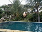 ubud_pisci