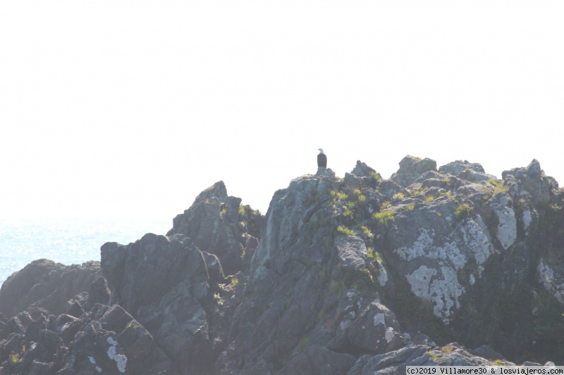 MONTAÑAS ROCOSAS DE CANADÁ - Blogs de Canada - DÍA 2: DOMINGO 15 DE JULIO (5)