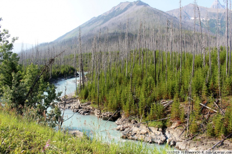 Foro de Kootenay: KOOTENAY NP