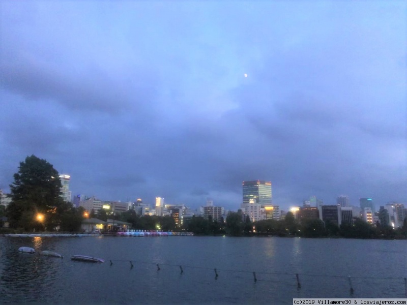 RUTA POR JAPÓN DURANTE 17 DÍAS - Blogs de Japon - DÍA 16. TOKYO (3)