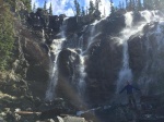 TANGLE CREEK FALLS
TANGLE, CREEK, FALLS, ICEFIELD