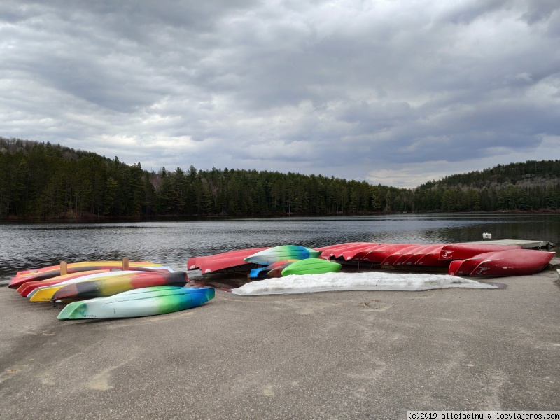 Etapa 6: Algonquin Park - Dos semanas recorriendo el Este de Canadá en "primavera" (en construcc (6)