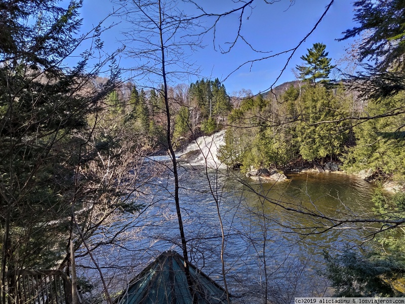 Etapa 8: Parc Omega - Mont Tremblant - Trois Rivières - Dos semanas recorriendo el Este de Canadá en "primavera" (4)