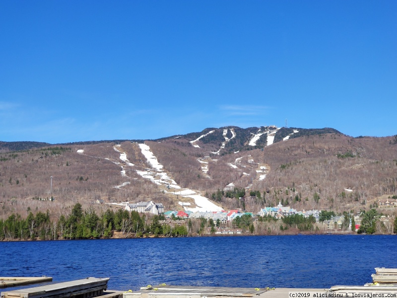 Etapa 8: Parc Omega - Mont Tremblant - Trois Rivières - Dos semanas recorriendo el Este de Canadá en "primavera" (5)